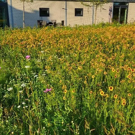 Holiday home Buitengewoon Beers (North Brabant)