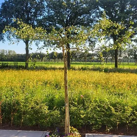 Buitengewoon 別荘 *