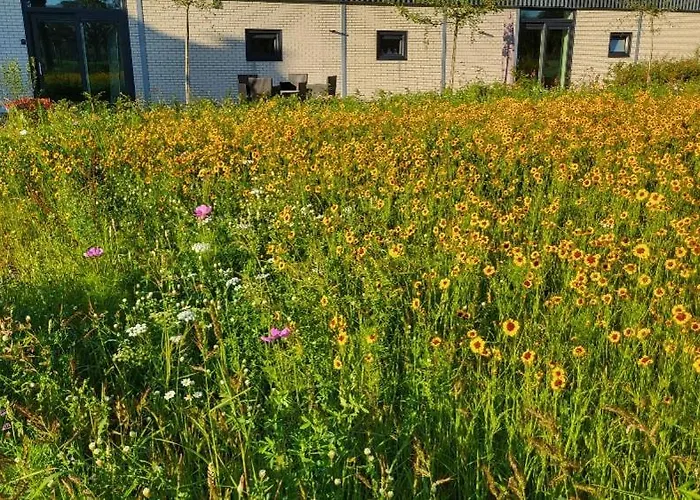 Nyaraló Buitengewoon Beers