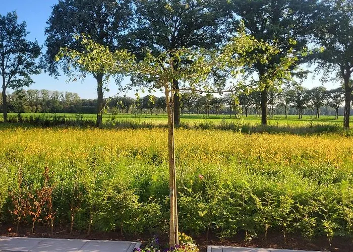 Buitengewoon Nyaraló *